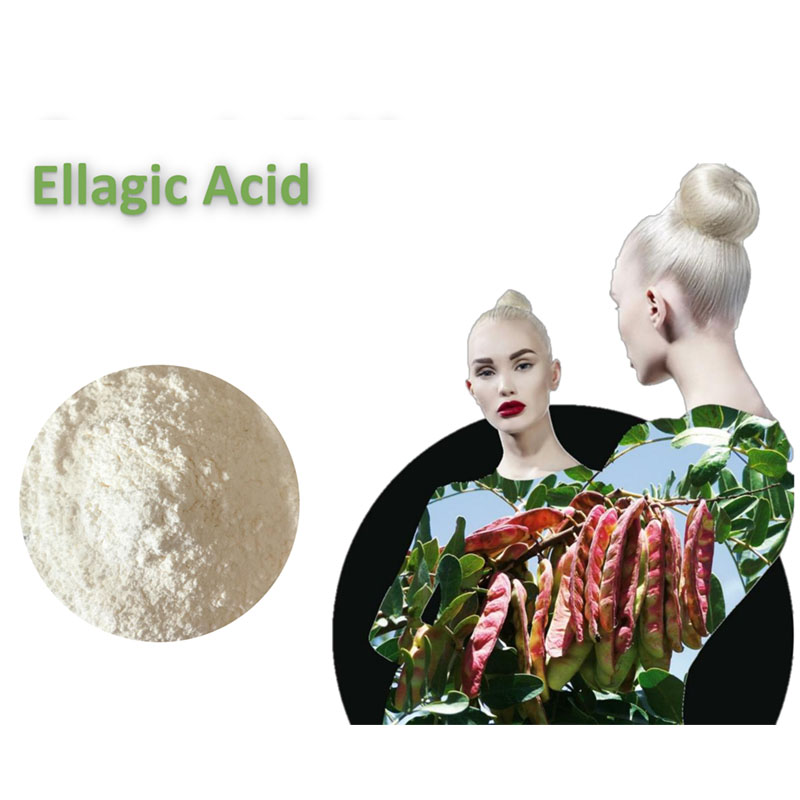 Acide ellagique CAS 476-66-4