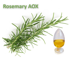 Romarin AOX